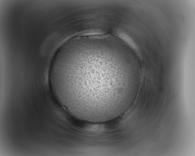 X0000088700155200706141436