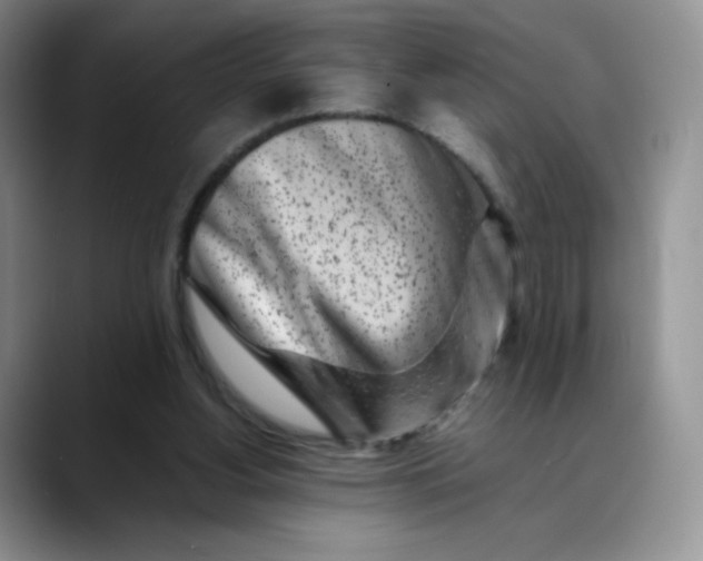 X0000088700156200706141436