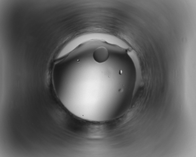 X0000088700160200706141436