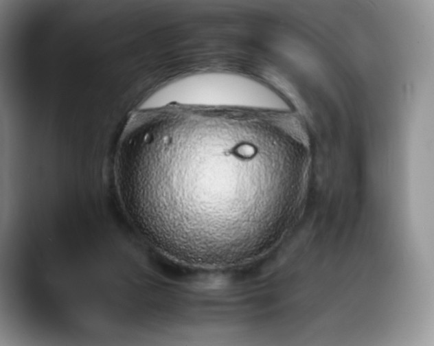 X0000088700161200706141436