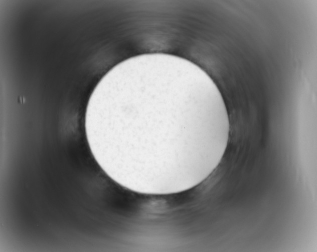 X0000088700162200706141436