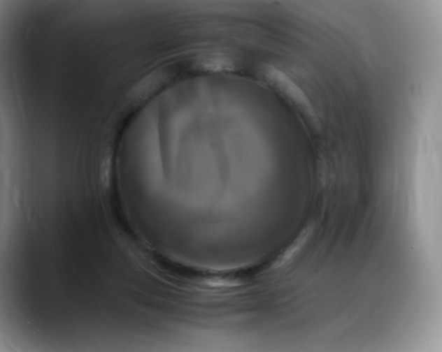 X0000088700163200706141436