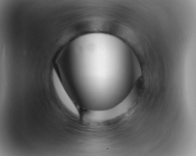 X0000088700164200706141436