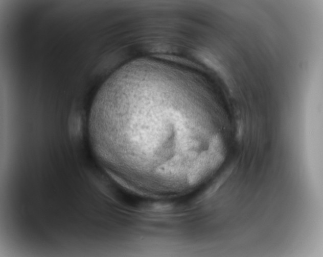 X0000088700165200706141436