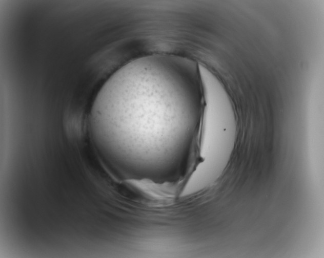 X0000088700168200706141436