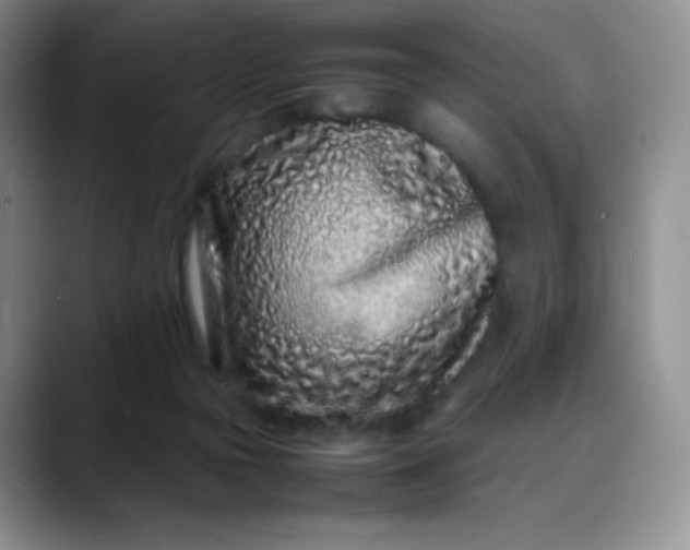 X0000088700169200706141436