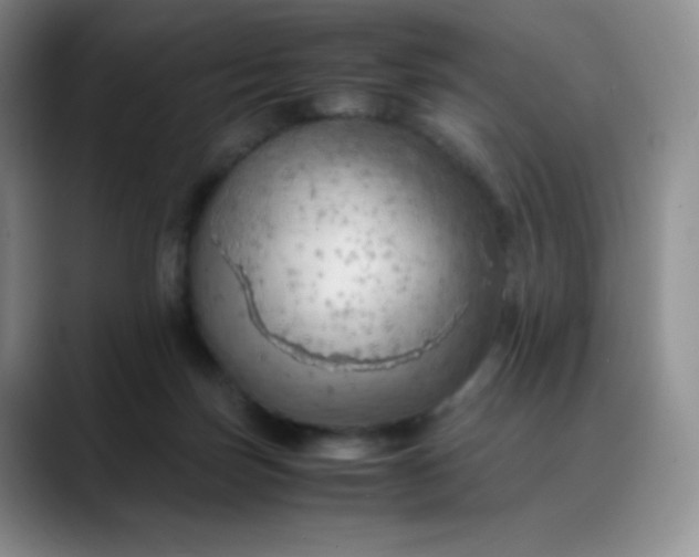 X0000088700171200706141436