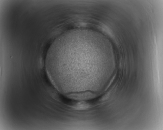 X0000088700173200706141436