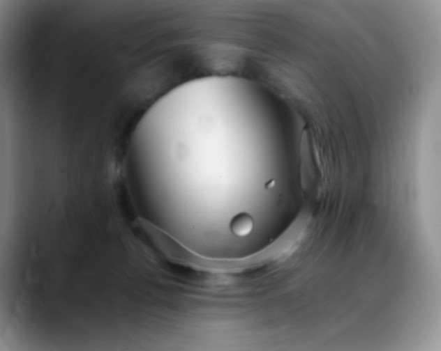 X0000088700176200706141437