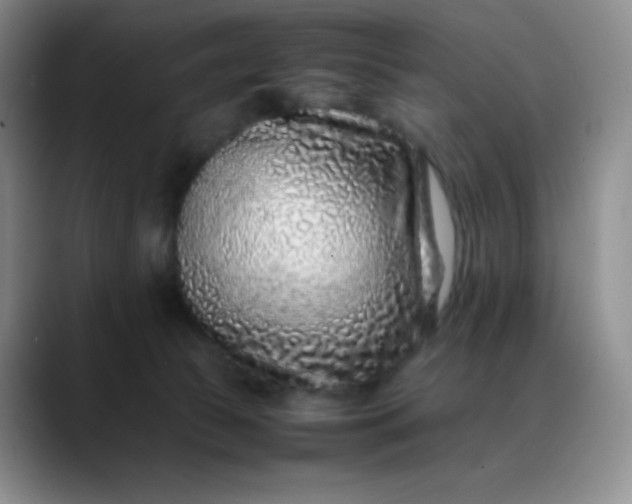 X0000088700177200706141437
