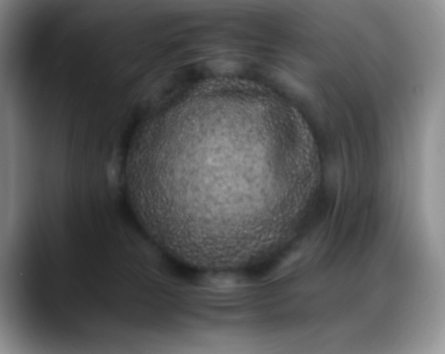 X0000088700181200706141437