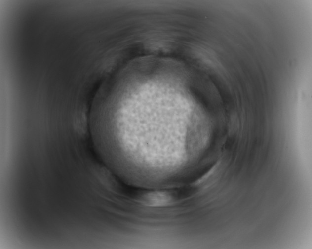 X0000088700183200706141437