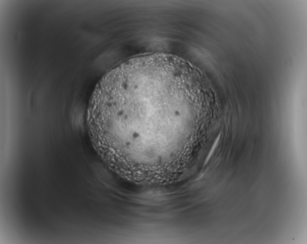 X0000088700185200706141437