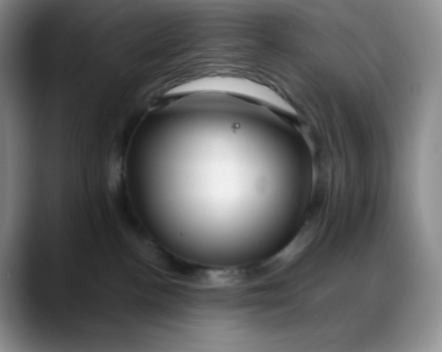 X0000088700188200706141437