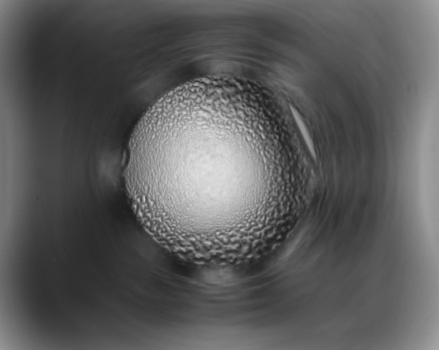 X0000088700189200706141437