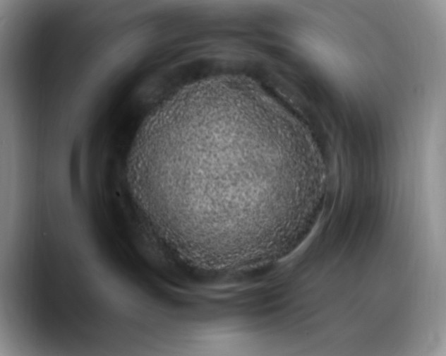 X0000088700191200706141437