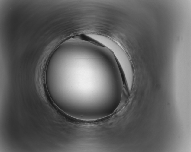 X0000088700193200706141436