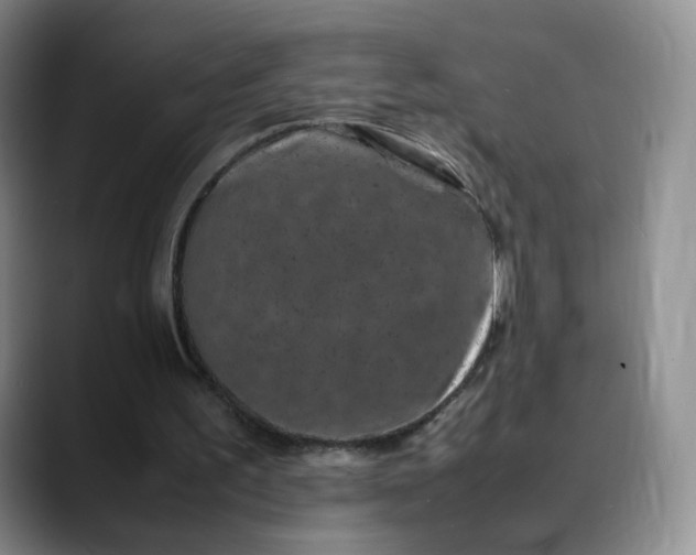 X0000088700195200706141436