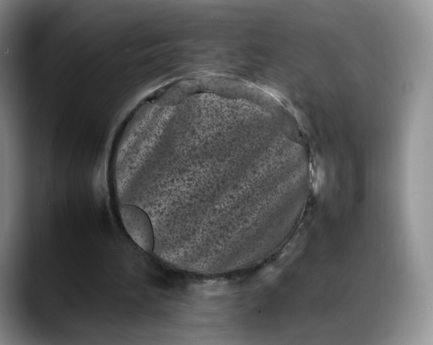 X0000088700196200706141436