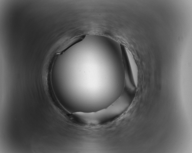 X0000088700197200706141436