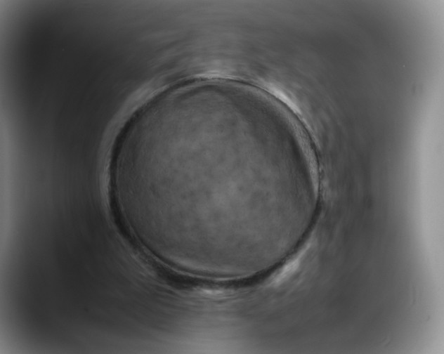 X0000088700199200706141436