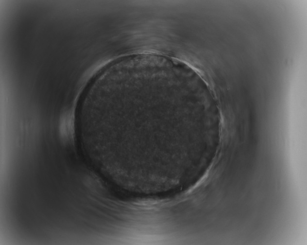 X0000088700200200706141436
