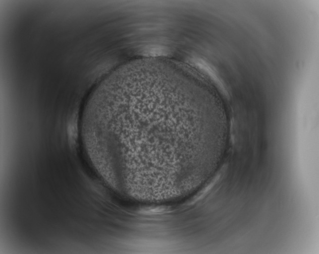 X0000088700202200706141436