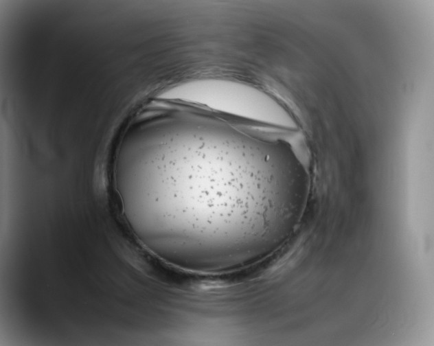 X0000088700203200706141436