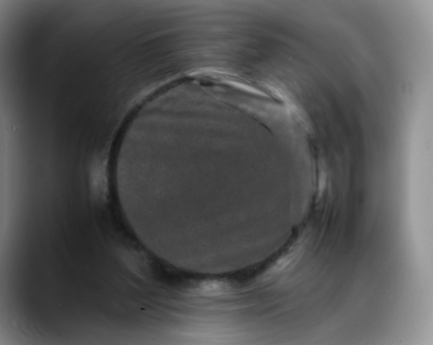 X0000088700204200706141436
