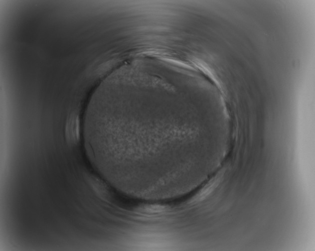 X0000088700205200706141436