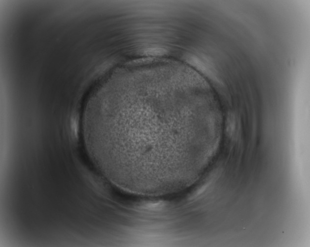 X0000088700206200706141436