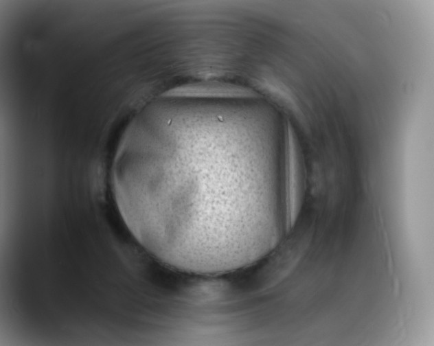 X0000088700210200706141436