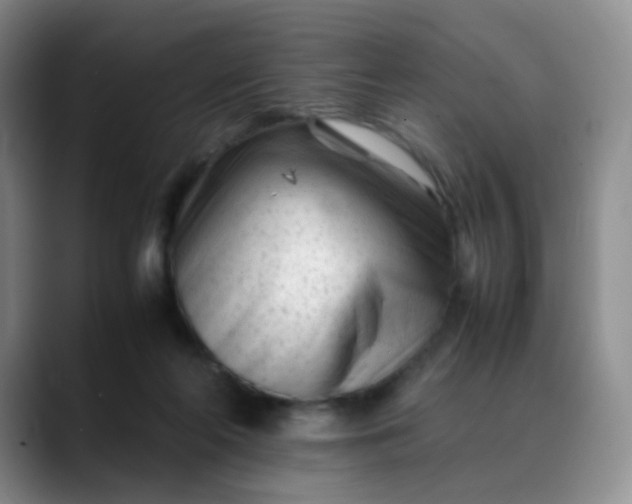 X0000088700214200706141436