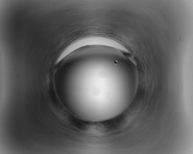 X0000088700215200706141436