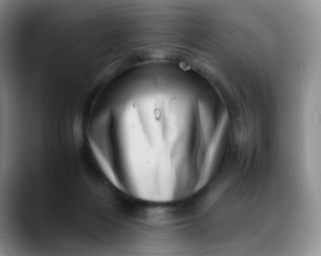 X0000088700216200706141436