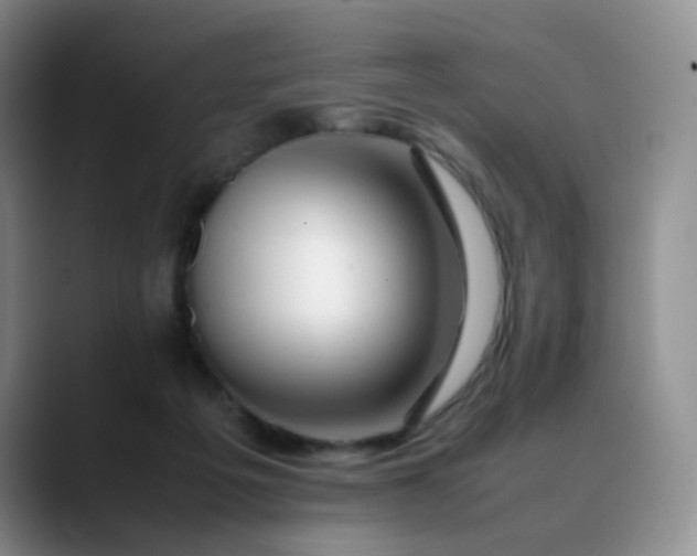 X0000088700217200706141436