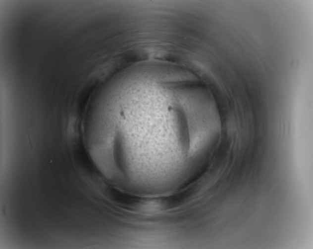 X0000088700218200706141436