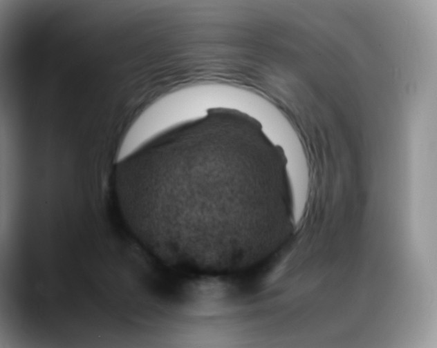 X0000088700219200706141436