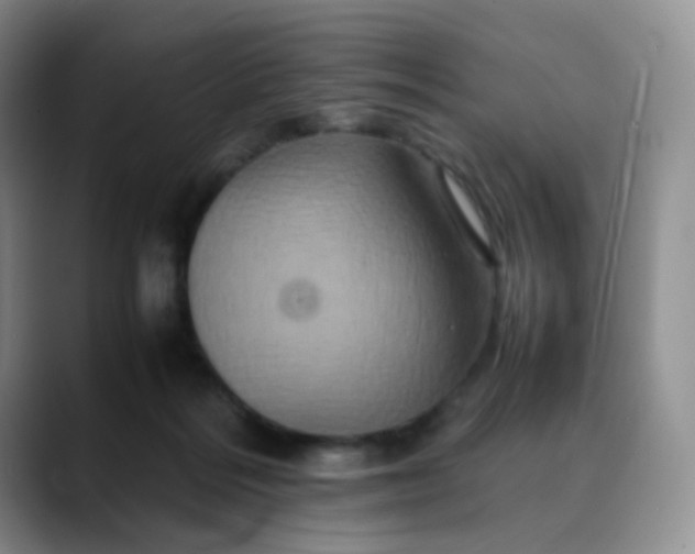 X0000088700220200706141436