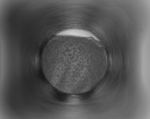 X0000088700222200706141436