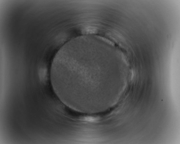 X0000088700224200706141436
