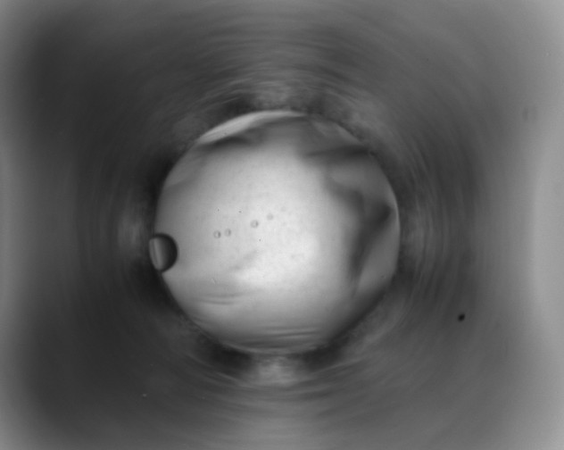 X0000088700226200706141436