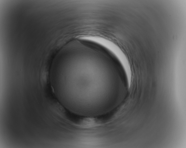 X0000088700227200706141436