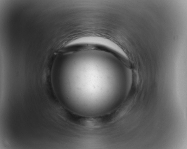 X0000088700229200706141436