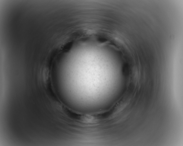 X0000088700230200706141436