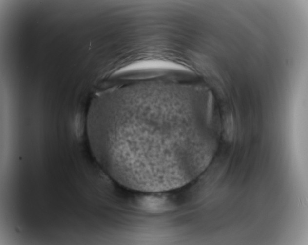X0000088700232200706141436