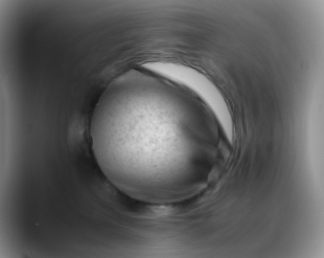 X0000088700233200706141436