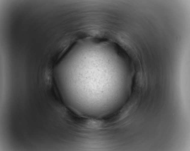 X0000088700234200706141436