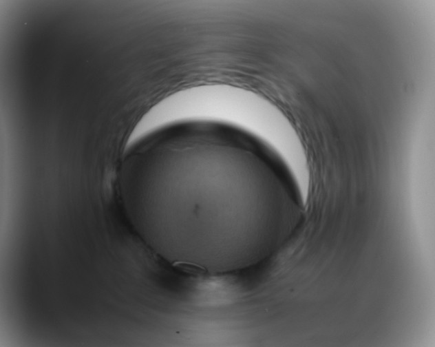 X0000088700235200706141436