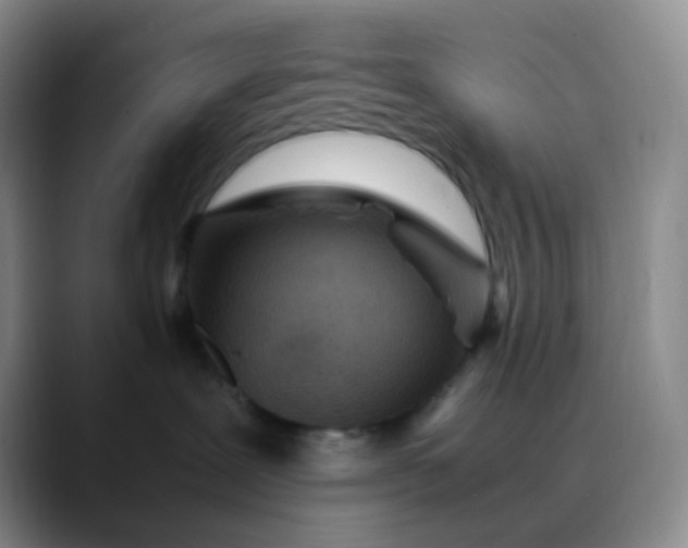 X0000088700239200706141436